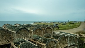 Unknown-1