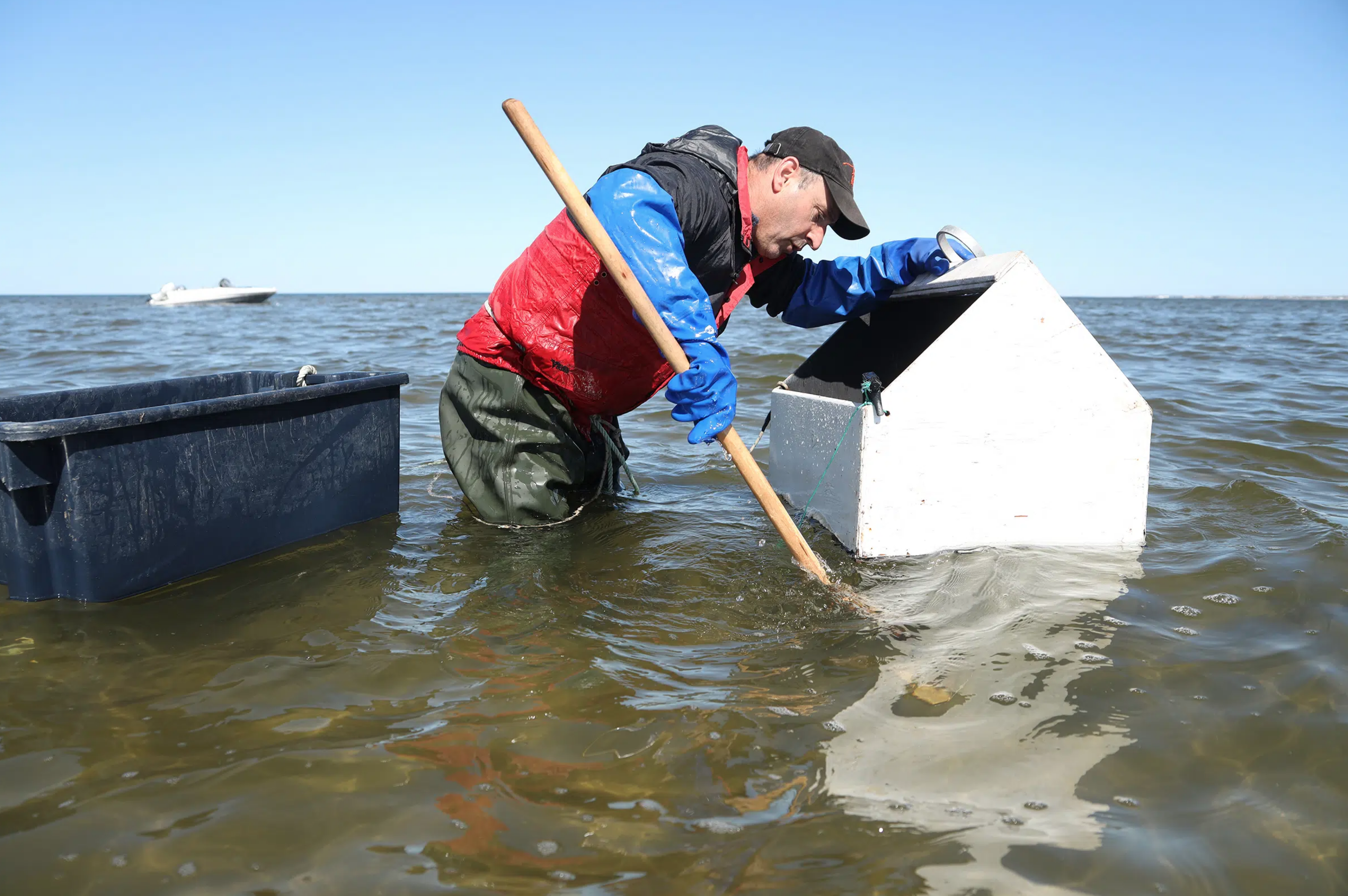 La pêche aux palourdes