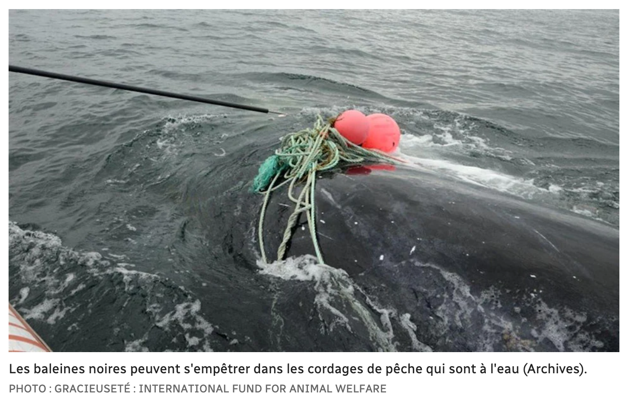 Capture d’écran, le 2022-10-30 à 10.22.30