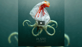 plstc