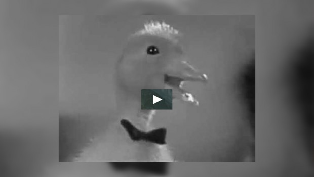 saturnin