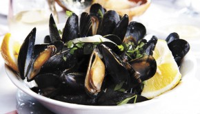15c_moules_land