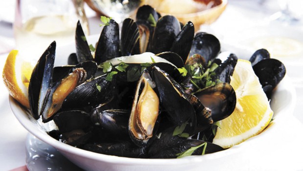 15c_moules_land