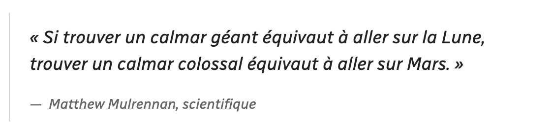 Capture d’écran, le 2022-11-30 à 18.05.51