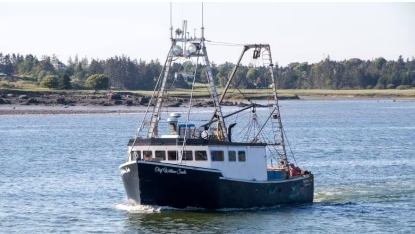 La stabilité de petits bateaux de pêche remise en cause dans des chavirements mortels