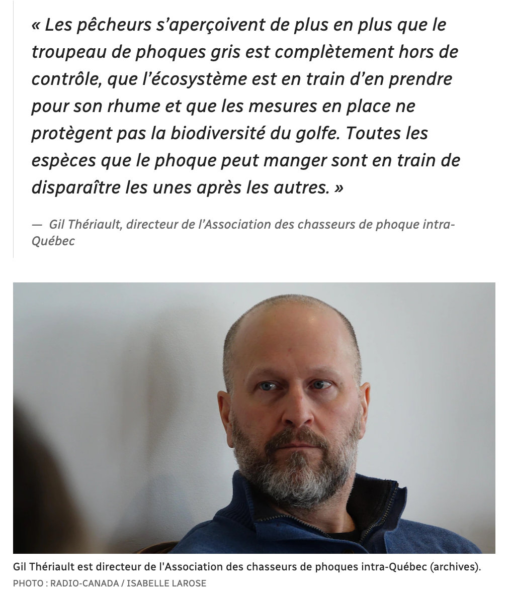 Capture d’écran, le 2023-01-24 à 10.35.00