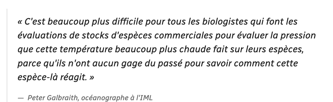 Capture d’écran, le 2023-02-05 à 11.41.53