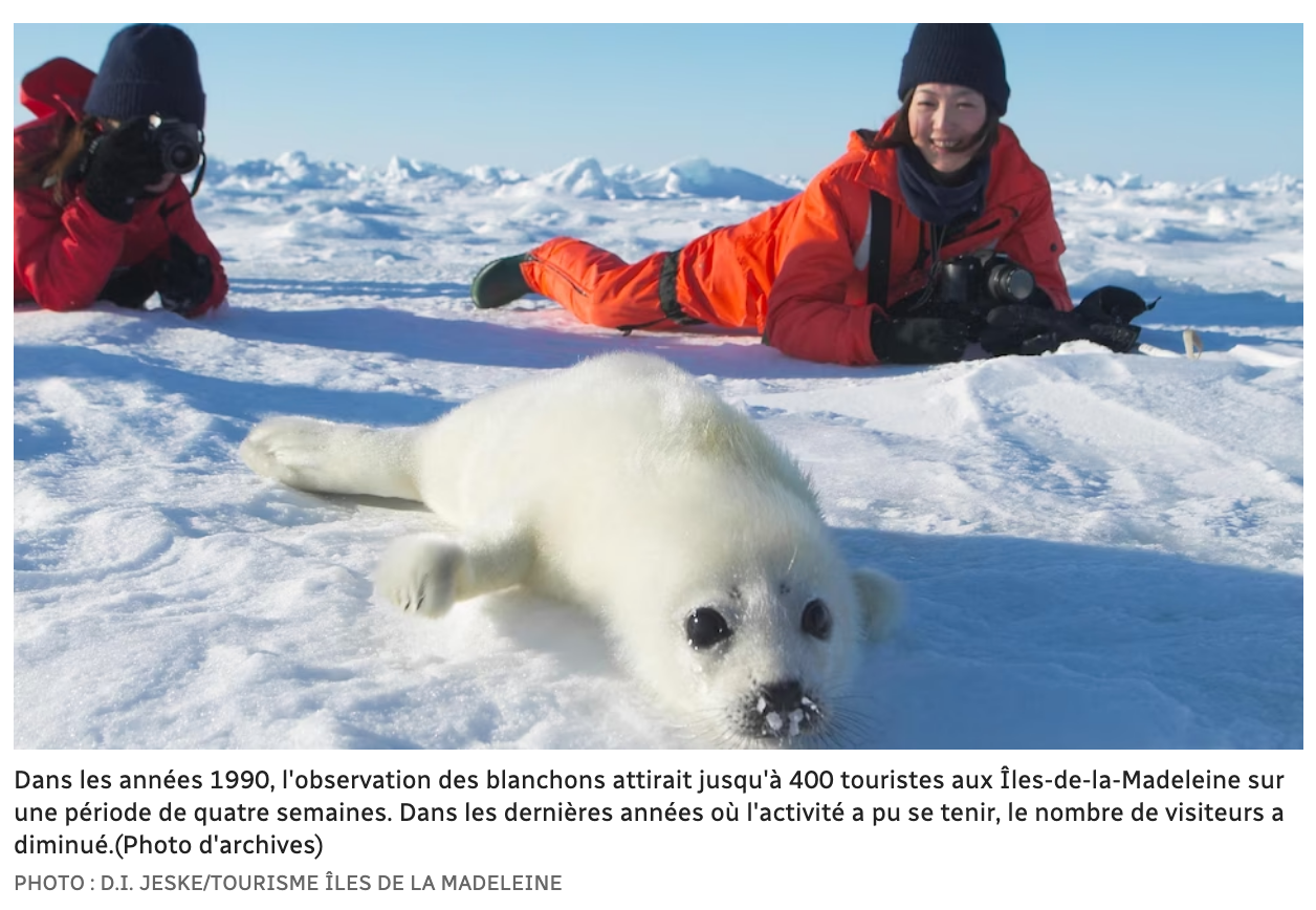 Capture d’écran, le 2023-02-07 à 18.50.17