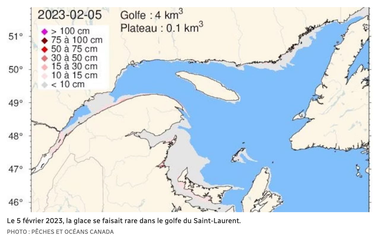 Capture d’écran, le 2023-02-07 à 18.51.31