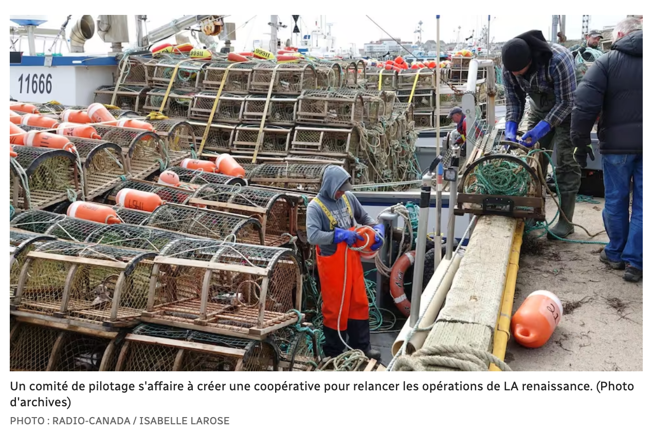 Capture d’écran, le 2023-02-11 à 09.34.21