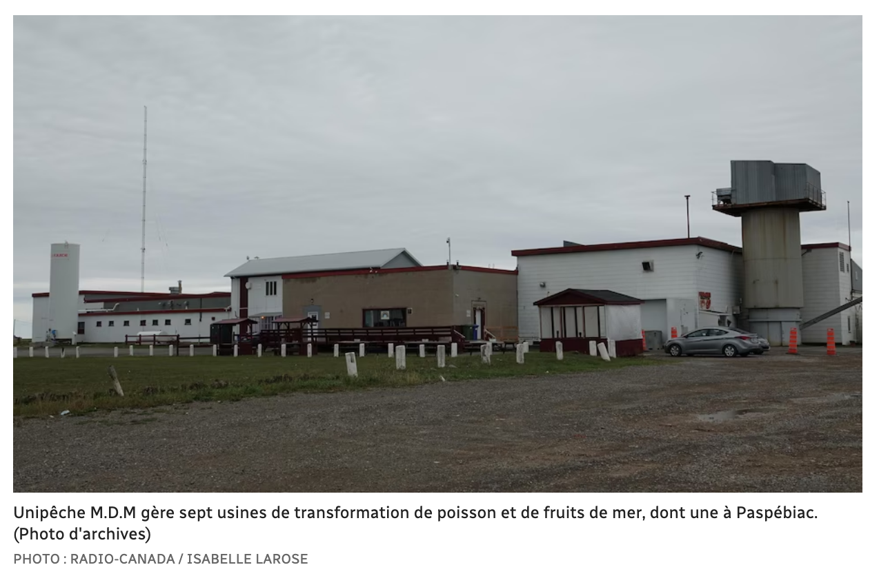 Capture d’écran, le 2023-02-11 à 09.34.46