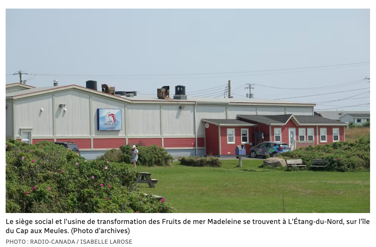 Capture d’écran, le 2023-02-11 à 09.34.58