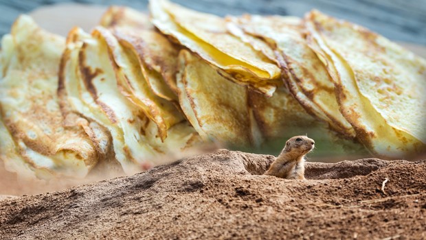 crepe_marmotte