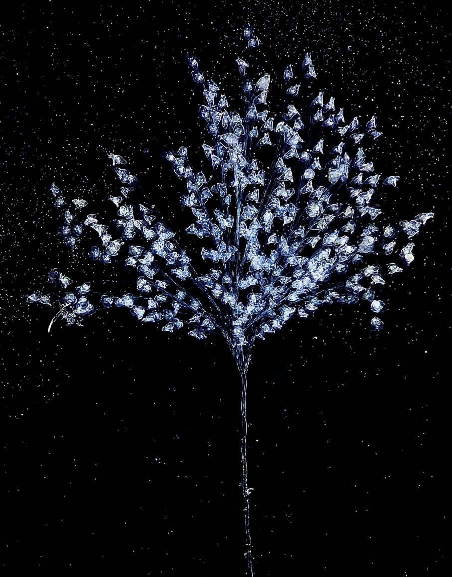 MICROBIO_2