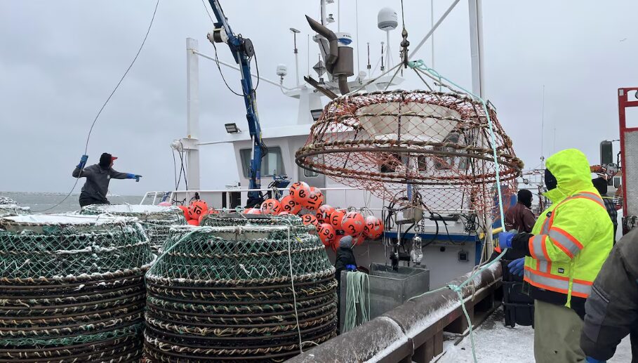 Prix du crabe des neiges : des inquiétudes, mais aussi de l’espoir pour les pêcheurs