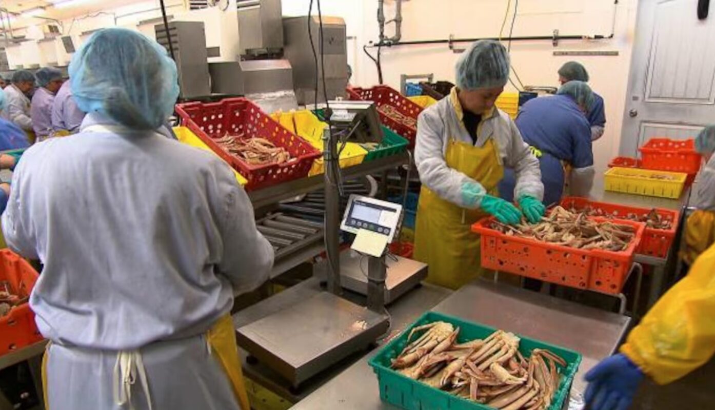Visa pour les travailleurs mexicains des pêches : Ottawa persiste et signe