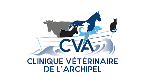 Entreprise du jour : Clinique vétérinaire de l’Archipel