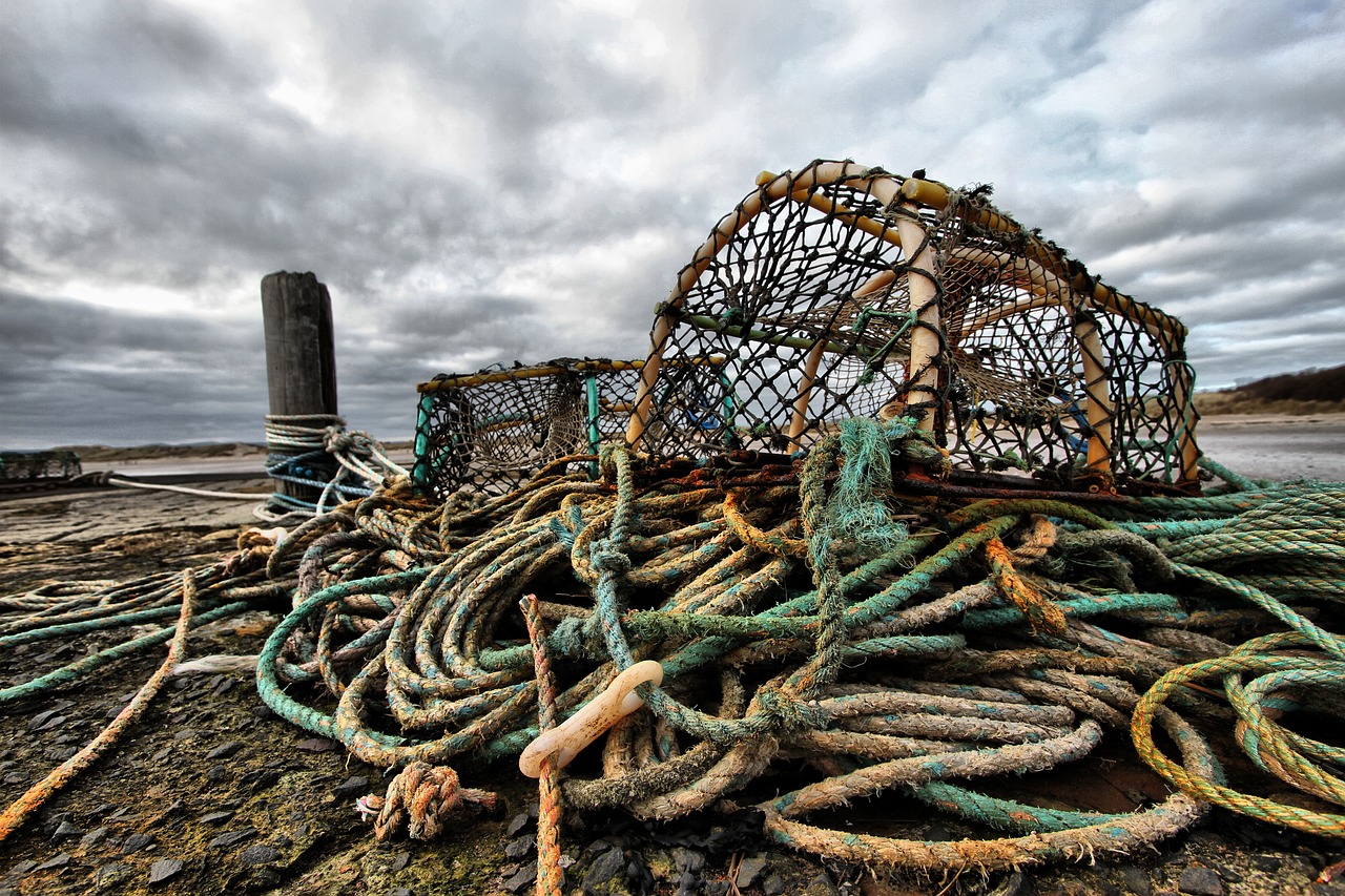 Les pêcheurs du Maine s’inquiètent de la migration du homard vers le Nord