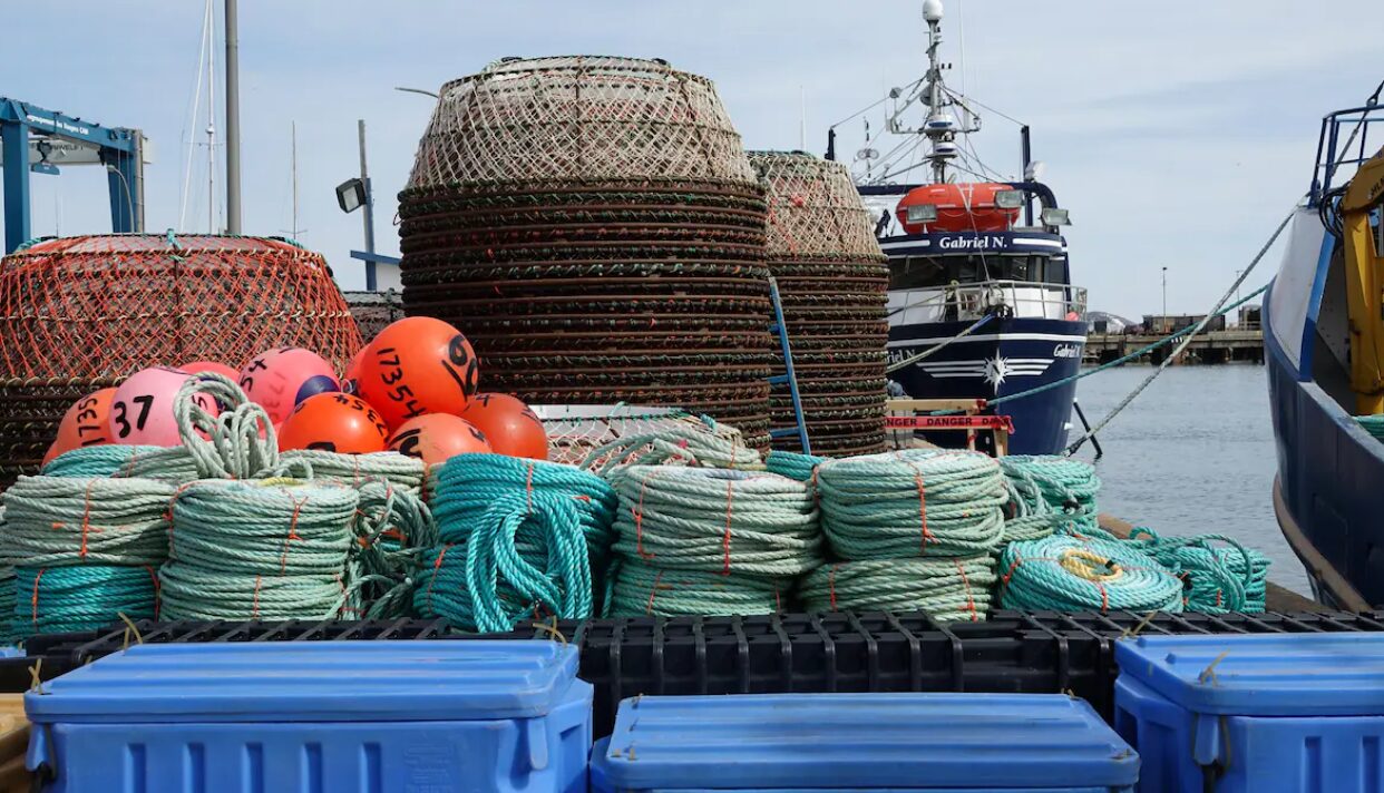 La saison débute entre crainte et espoir pour les crabiers gaspésiens et madelinots