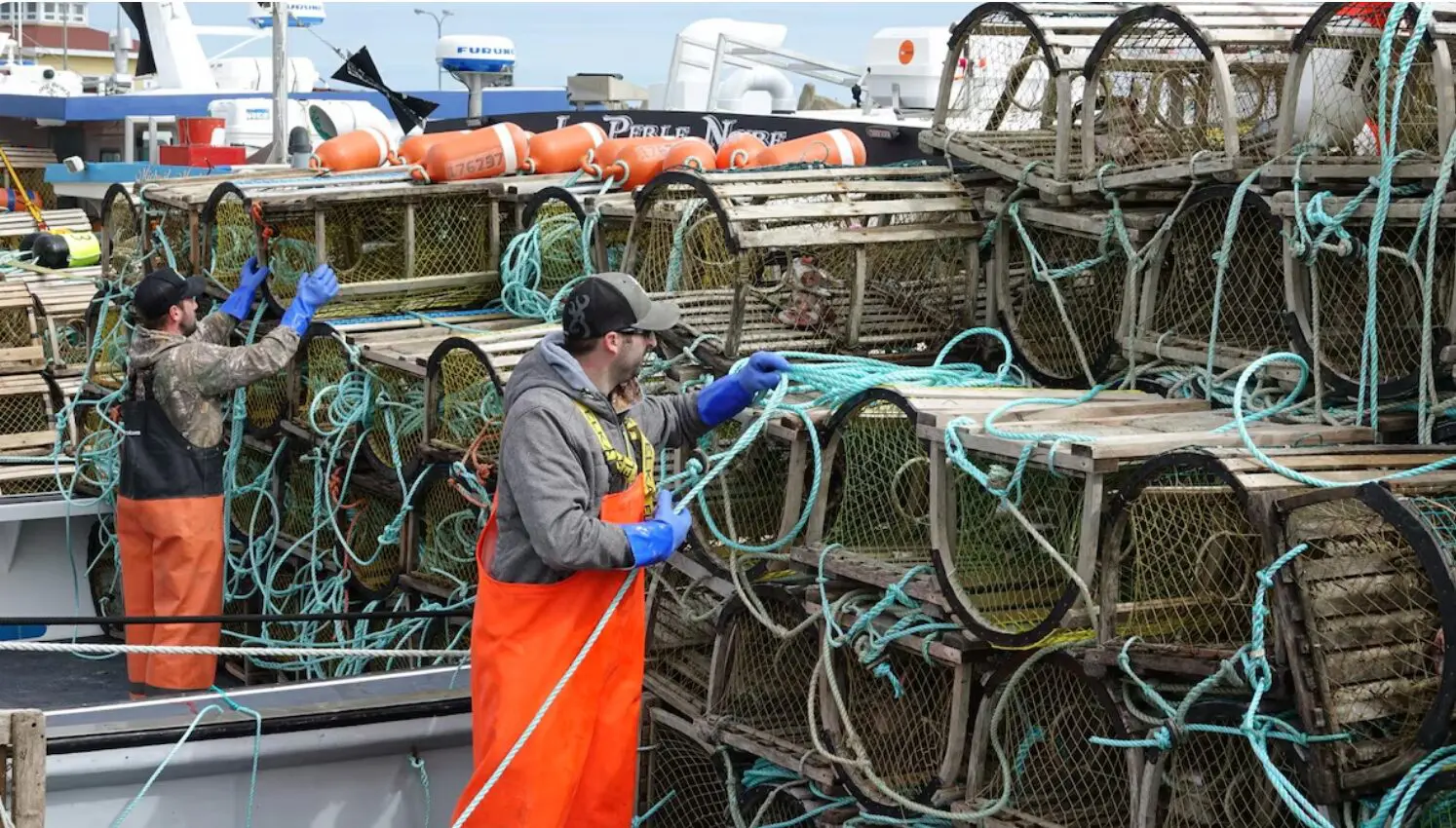 Vent d’optimisme à la veille du début de la pêche au homard aux Îles de la Madeleine
