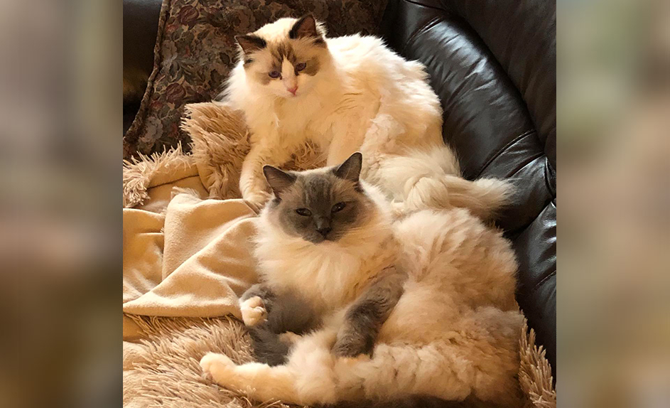 Tilion et Holly
