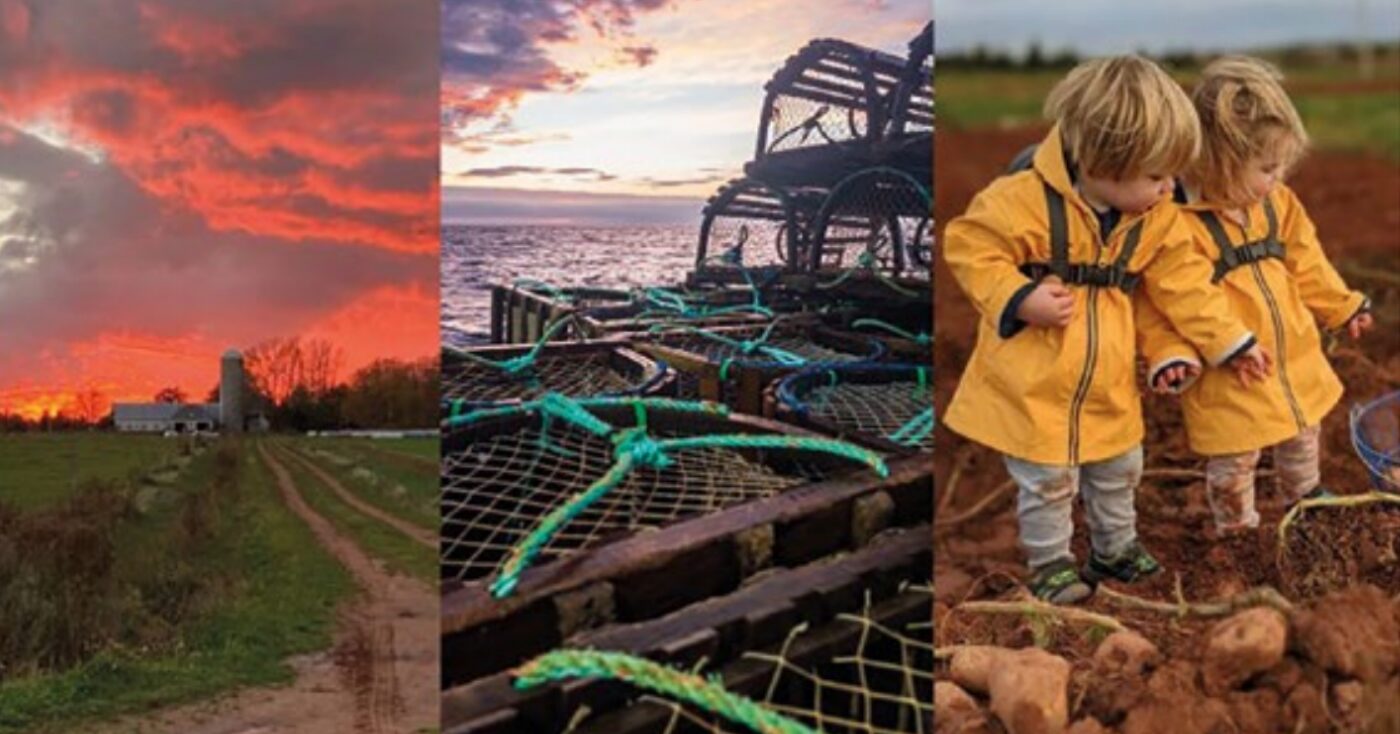 Î.-P.-É. : Un concours de photos célèbre l’agriculture