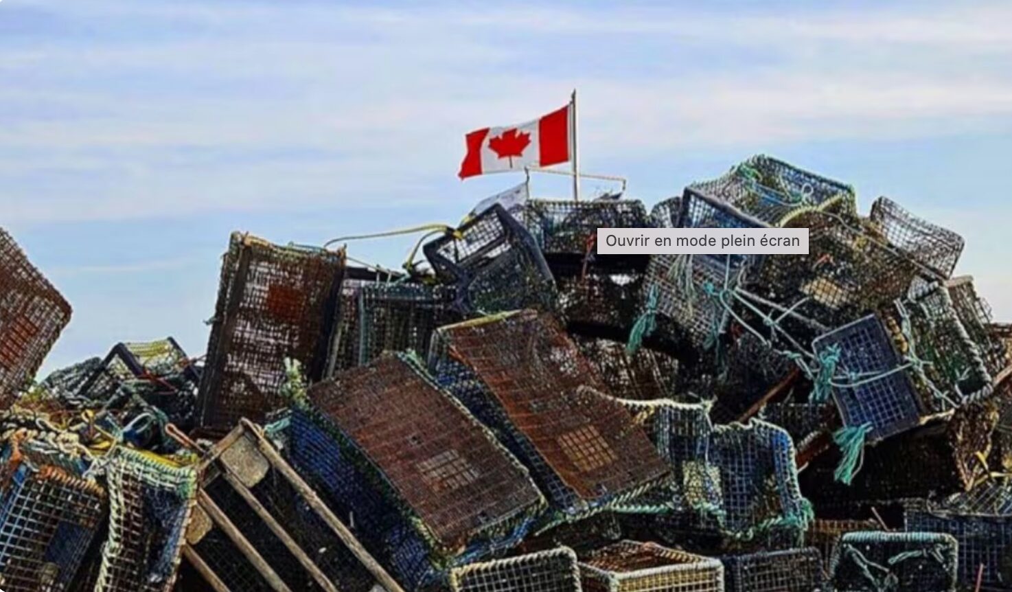 Le MPO et le milieu de la pêche planchent sur la gestion future des engins fantômes