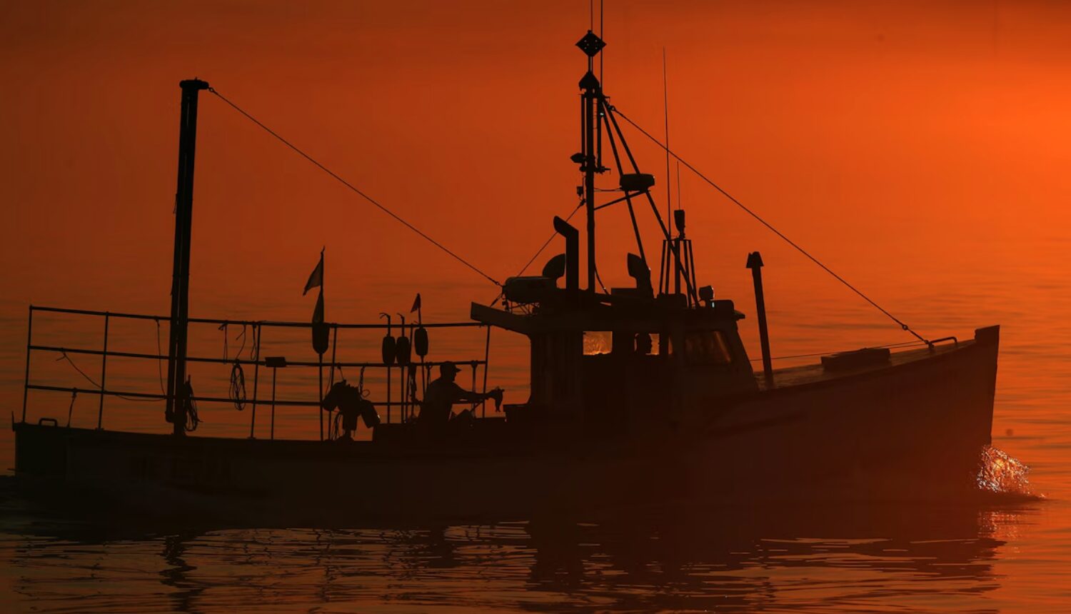 Augmentation de la taille du homard pêché : l’État du Maine fait marche arrière