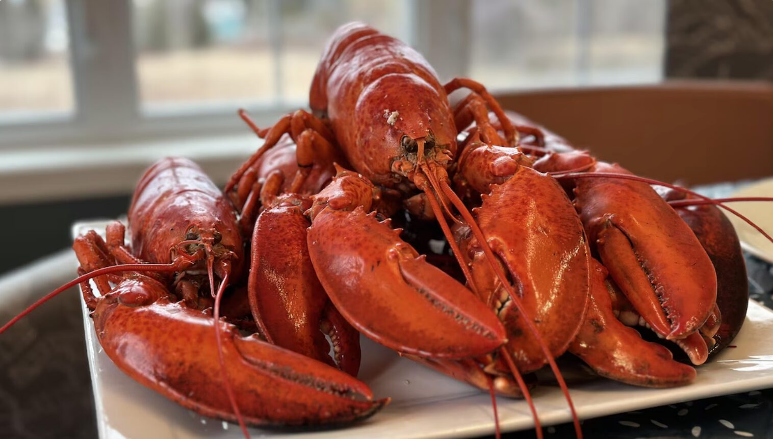Le homard que vous mangez contient-il des microplastiques?