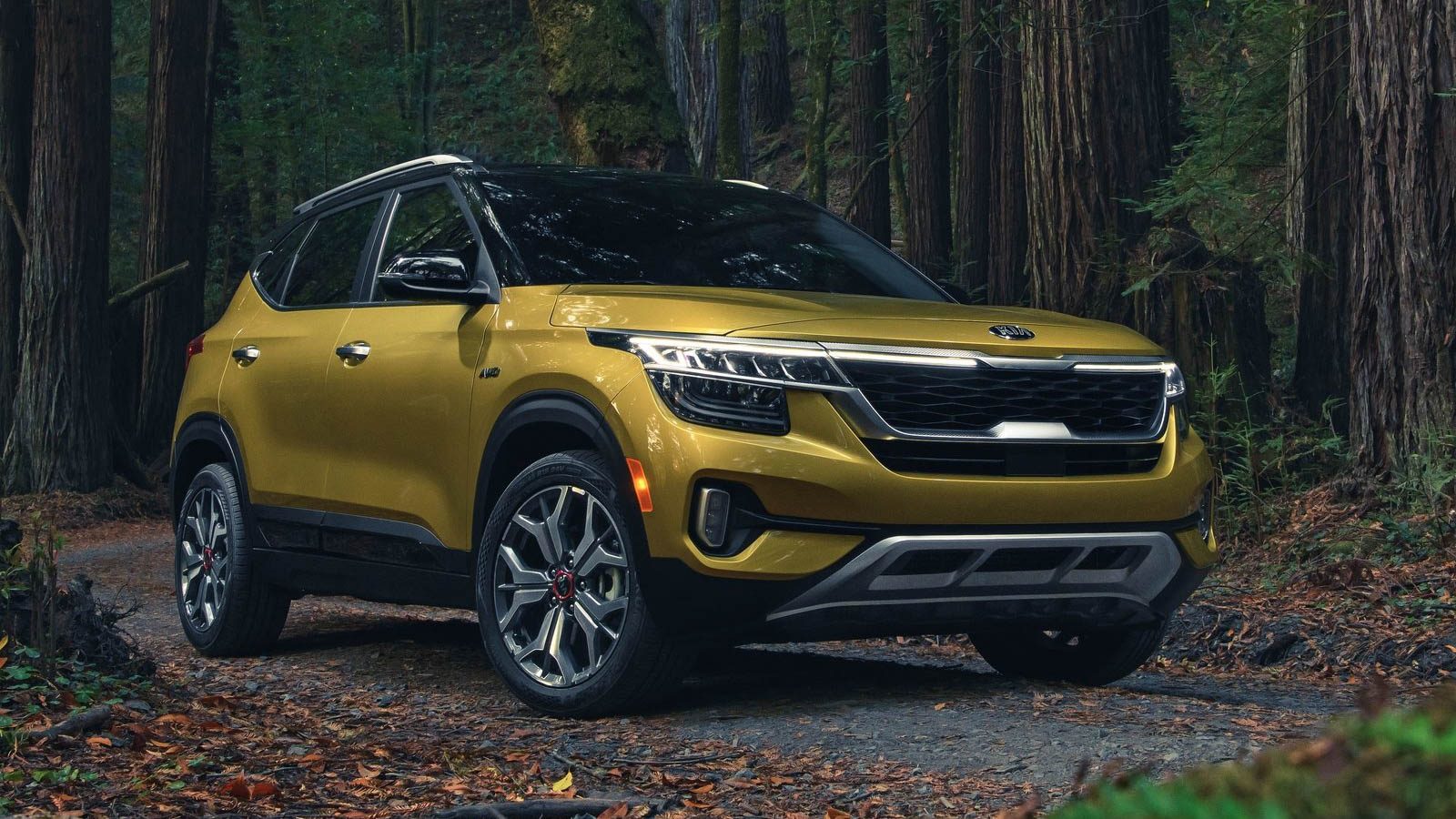 Kia rappelle plusieurs Seltos et Soul aux États-Unis