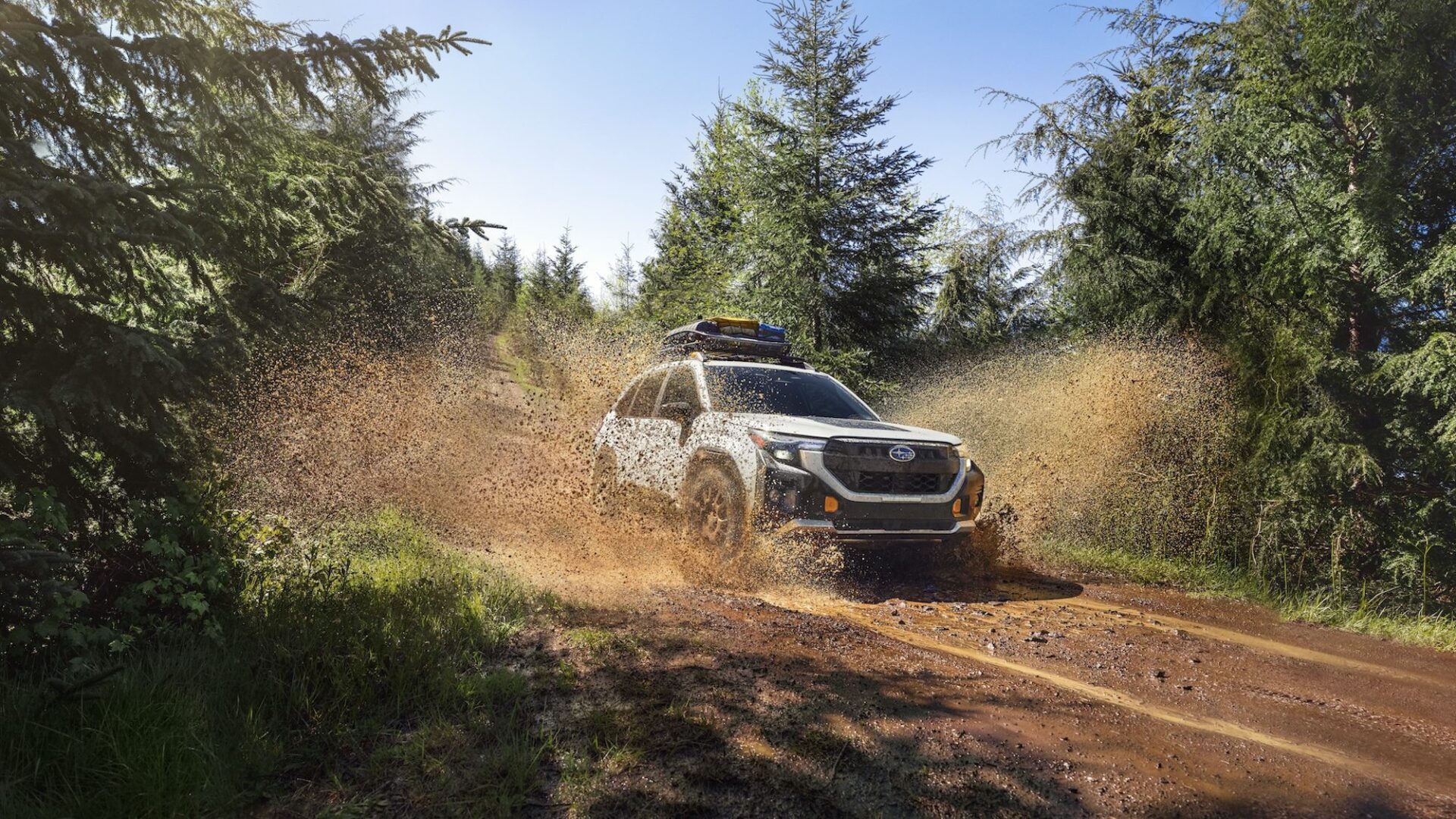 Voici le Subaru Forester Wilderness 2026