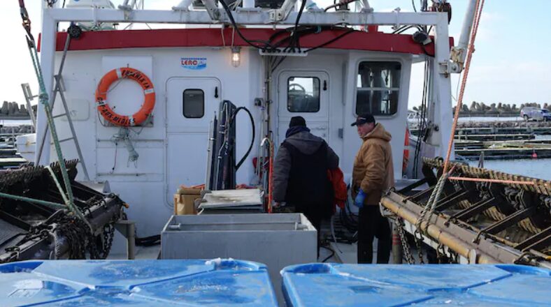 La pêche au pétoncle déjà bien amorcée aux Îles