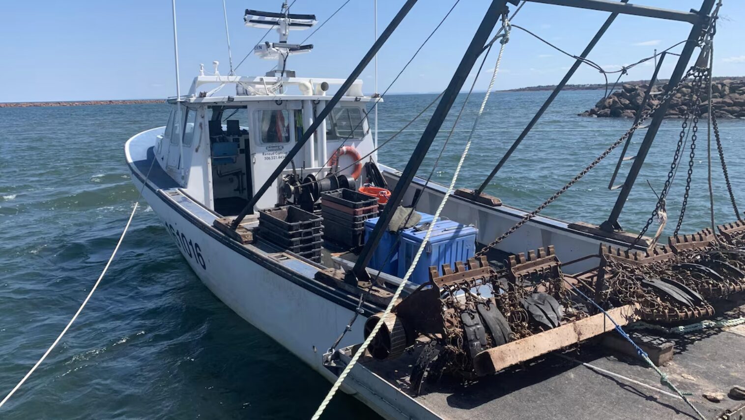 Face aux tarifs, l’industrie des fruits de mer veut se tourner vers le marché canadien