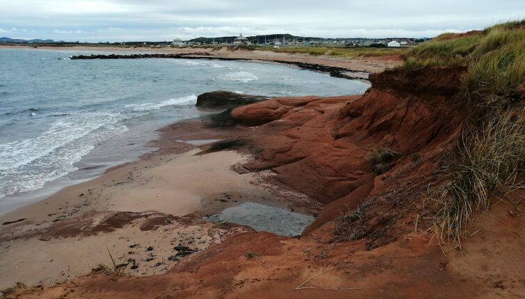 Pétition citoyenne contre un site de décontamination des sols aux Îles
