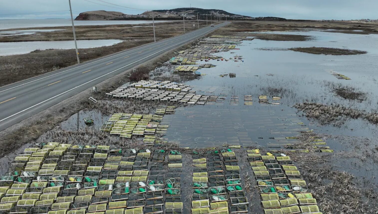 Cafouillis autour du trempage des casiers de homard aux Îles
