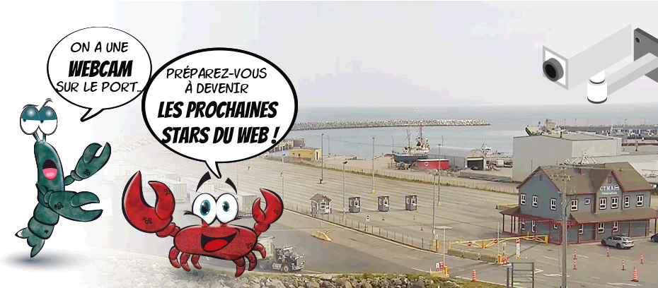 L’actualité de la semaine – Omar & Oscar