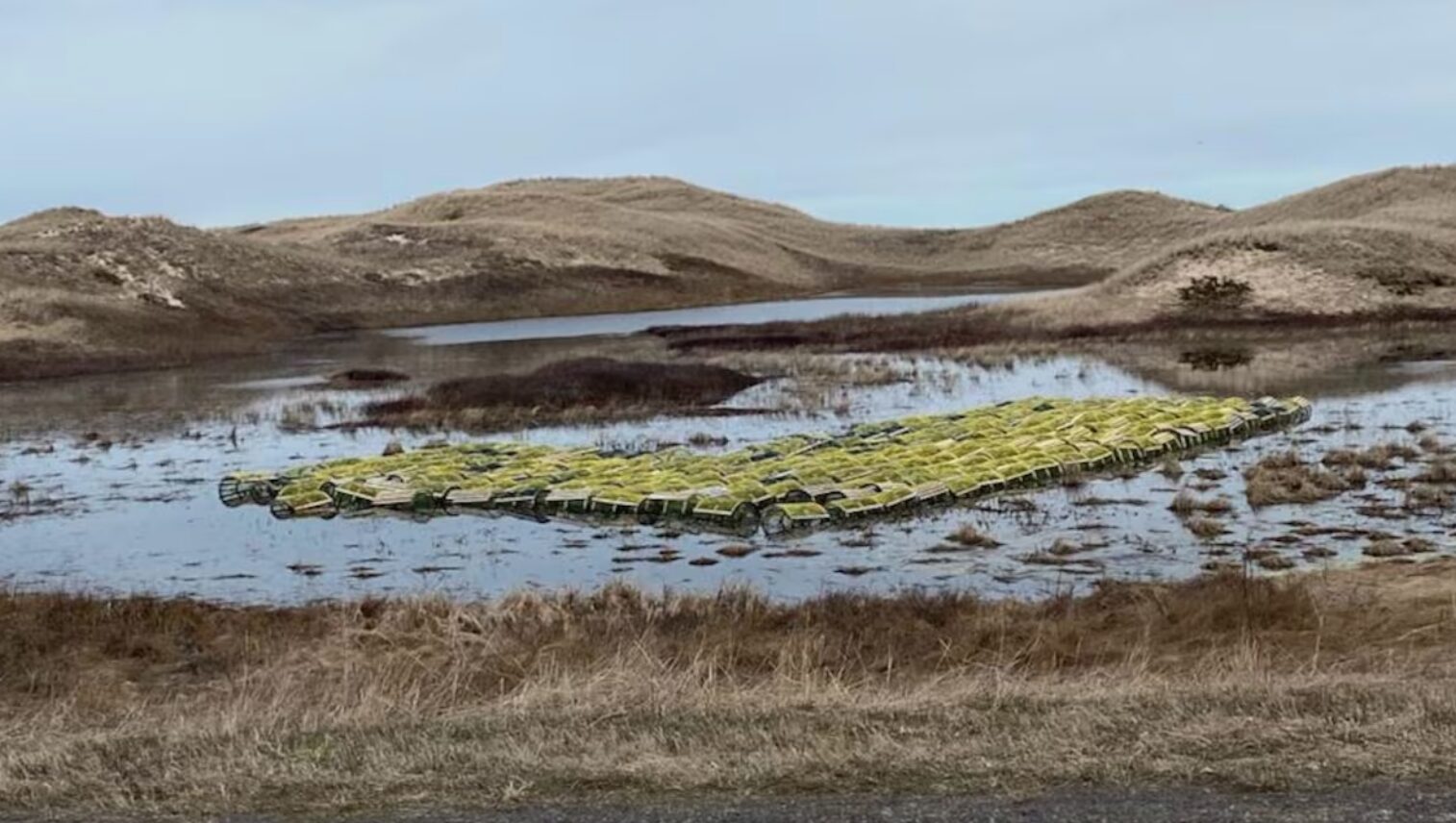 Casiers à tremper : entre flou législatif et amendes salées