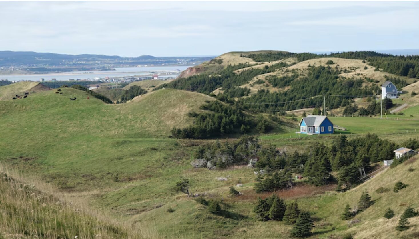 Le mois de l’arbre et des forêts aux Îles-de-la-Madeleine