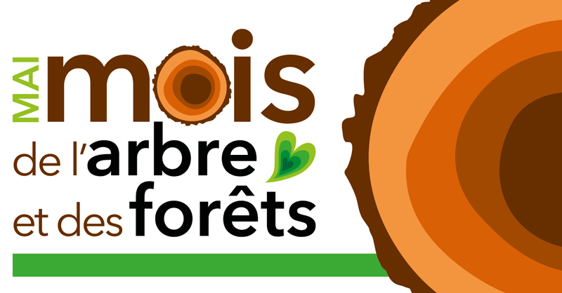 Le Mois de l’arbre et des forêts avec Attention FragÎles !