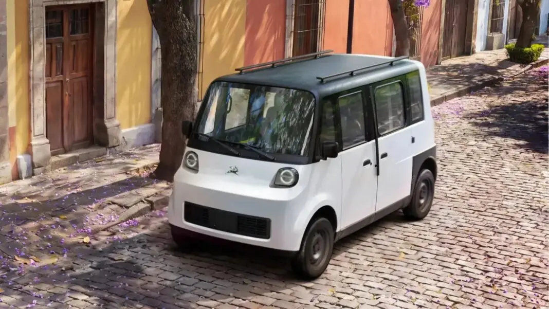Olinia-Uno-9